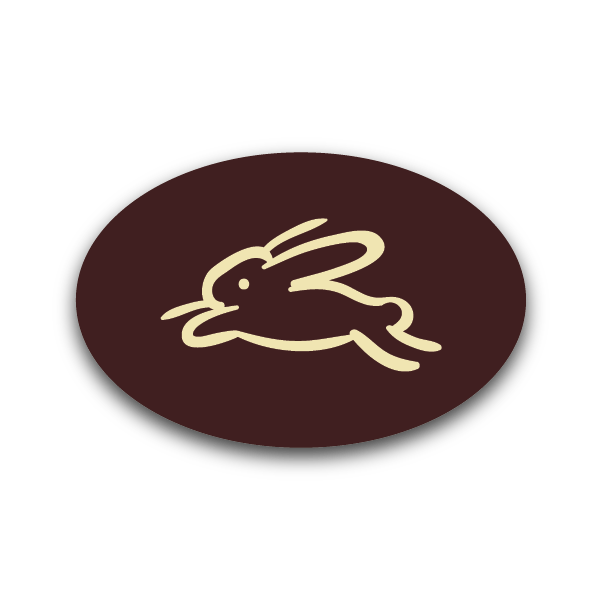 Jumping Bunny