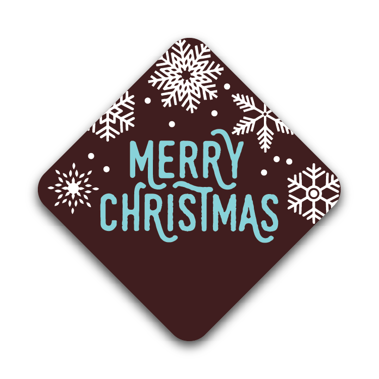Arctic Merry Christmas