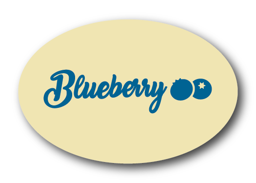 Blueberry Dessert Chocolate