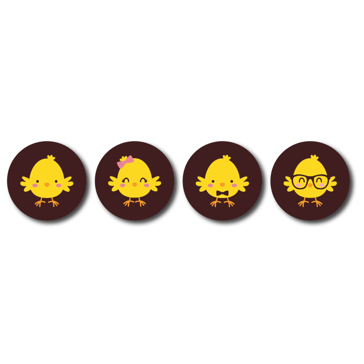 Cool Chicks Assorted