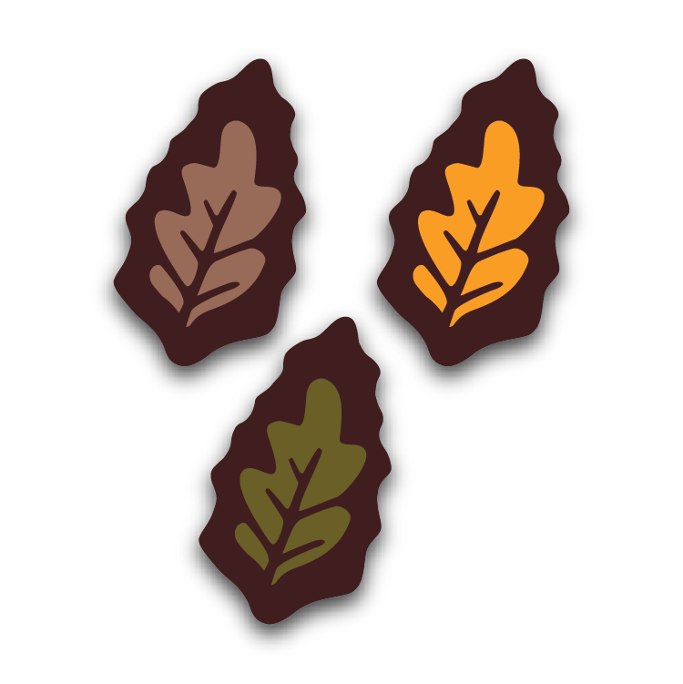 Falling Leaves Chocolates