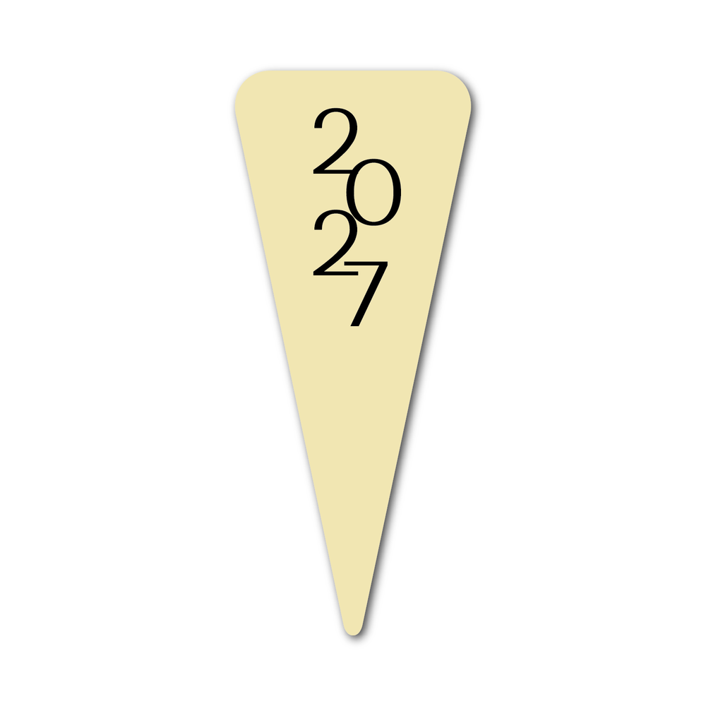 Modern 2027
