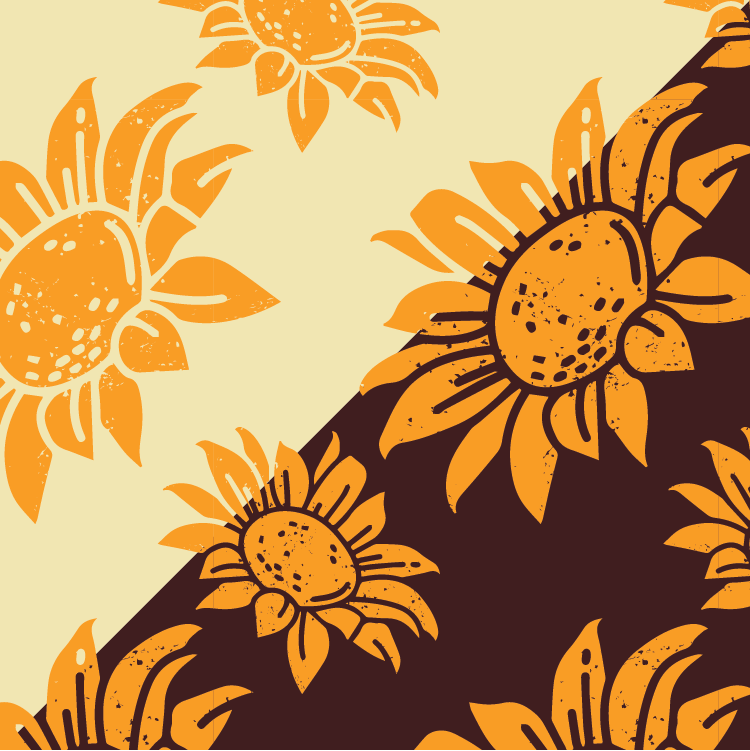 Sunflower Fields