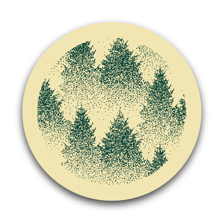 Winter Forest