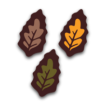Falling Leaves Chocolates