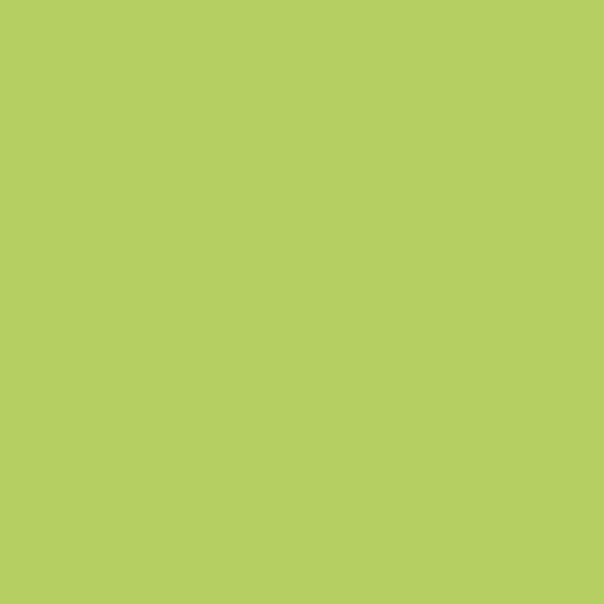 PRE-ORDER Lime Green Colored Cocoa Butter
