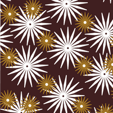 Daisies